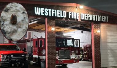 Stray bullet pierces roof of Houston-area fire station, barely missing firefighter