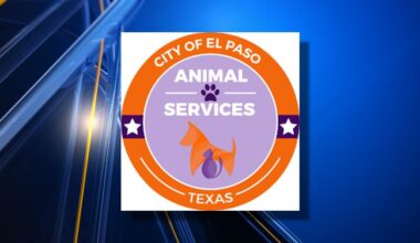 Partnership paused amid El Paso Animal Services probe