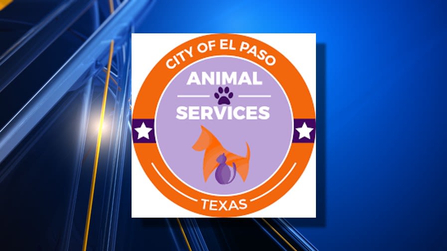Partnership paused amid El Paso Animal Services probe