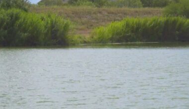 Texas State, Kyle launch project to improve water quality at Lake Kyle