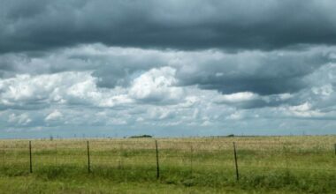 Cold front barreling toward Texas threatens storms across state. Here's where