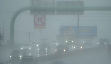 How much rain did El Paso get? See rain totals, weather forecast