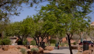 Police investigating fatal Tom Lea Park shooting in Central El Paso