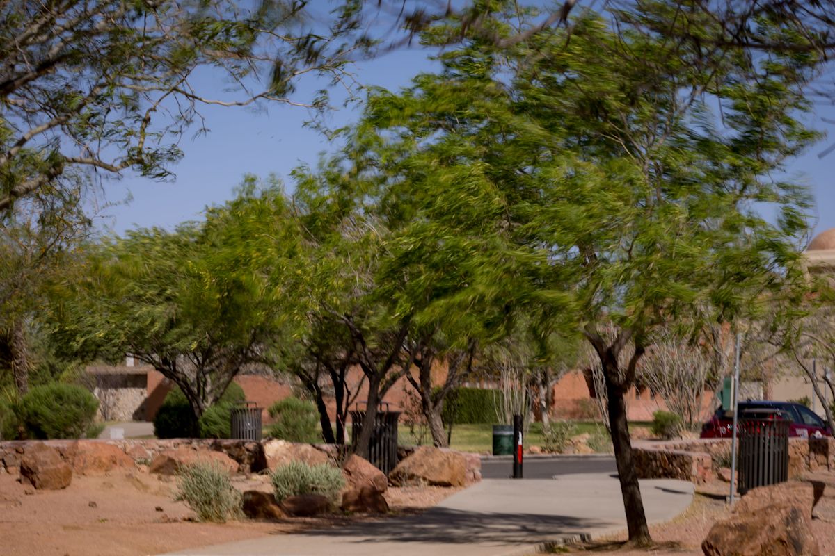 Police investigating fatal Tom Lea Park shooting in Central El Paso