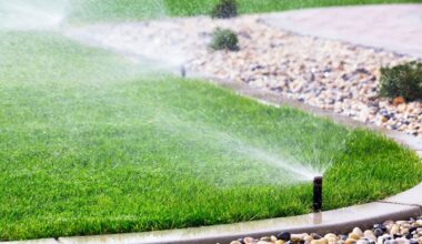 San Antonio returns to Stage 3 watering rules as aquifer level drops, bringing surcharges for some