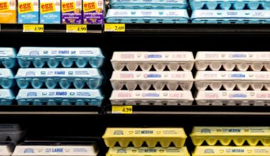 Paxton egg settlement delivers 1.7M eggs to 17 Texas food banks: List