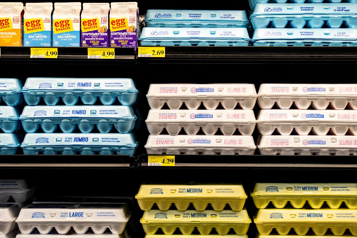 Paxton egg settlement delivers 1.7M eggs to 17 Texas food banks: List