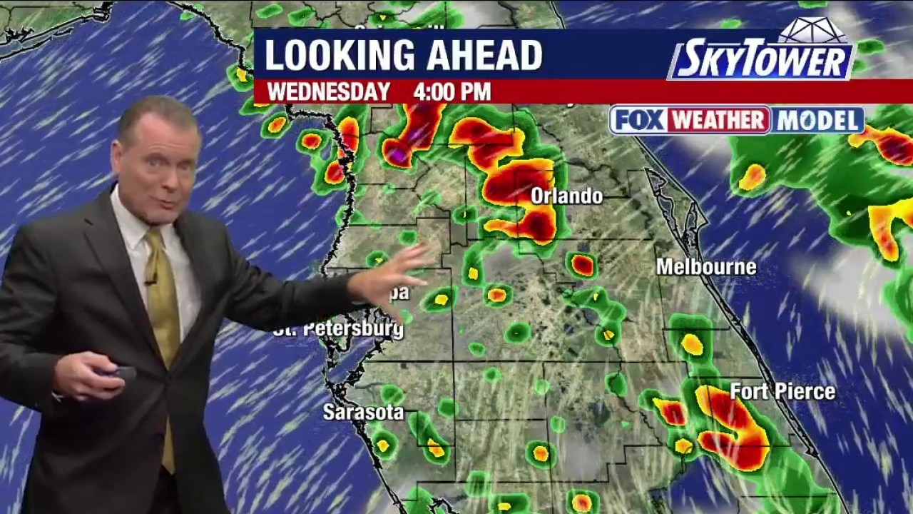  Tampa weather | Wednesday morning forecast