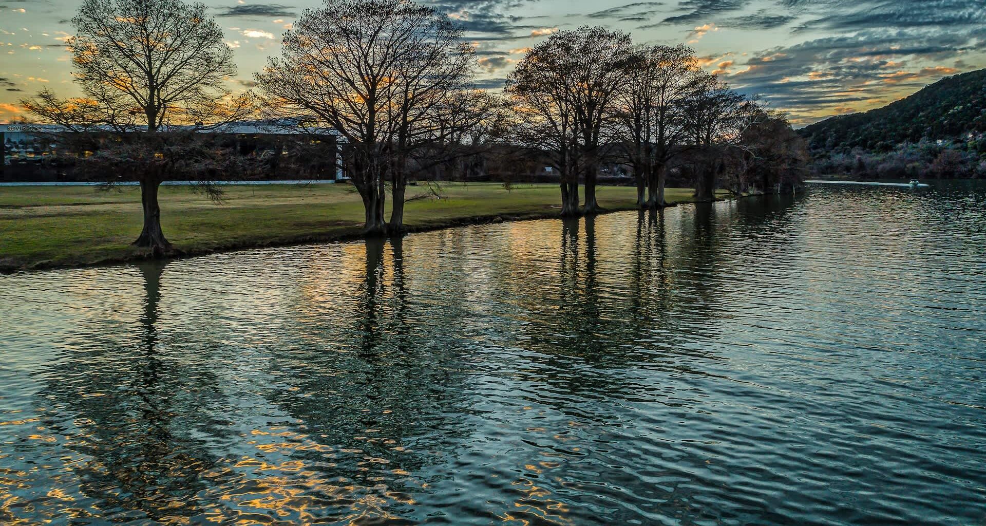 Trees reflect in calm water under a cloudy sky at sunset.