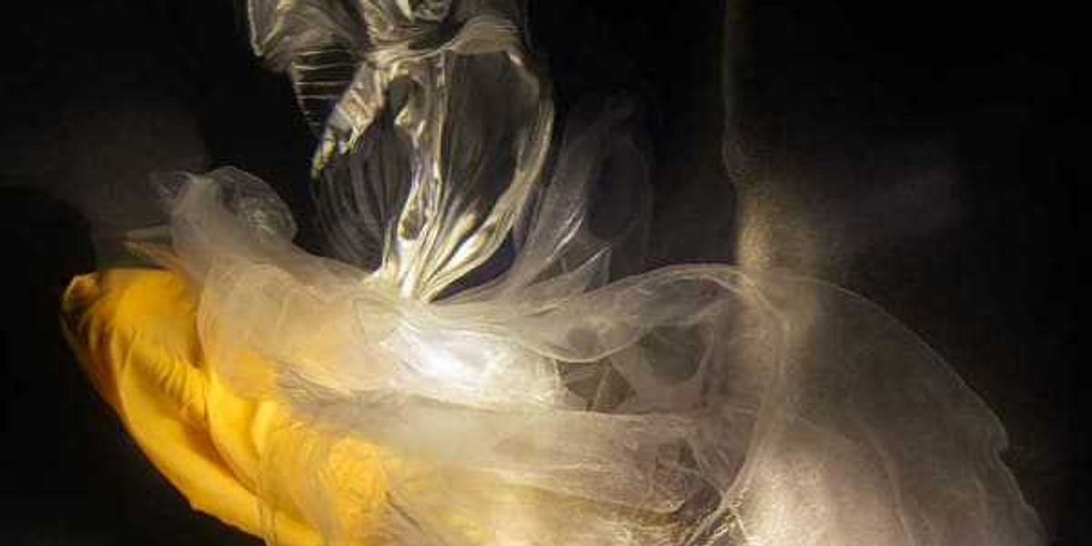 Laura Rathe Fine Art presents Christy Lee Rogers and Lucrecia Waggoner: "Between Worlds" opening reception