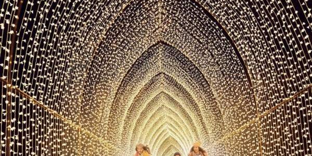 Christmas light Cathedral returns to Fort Worth Botanic Garden