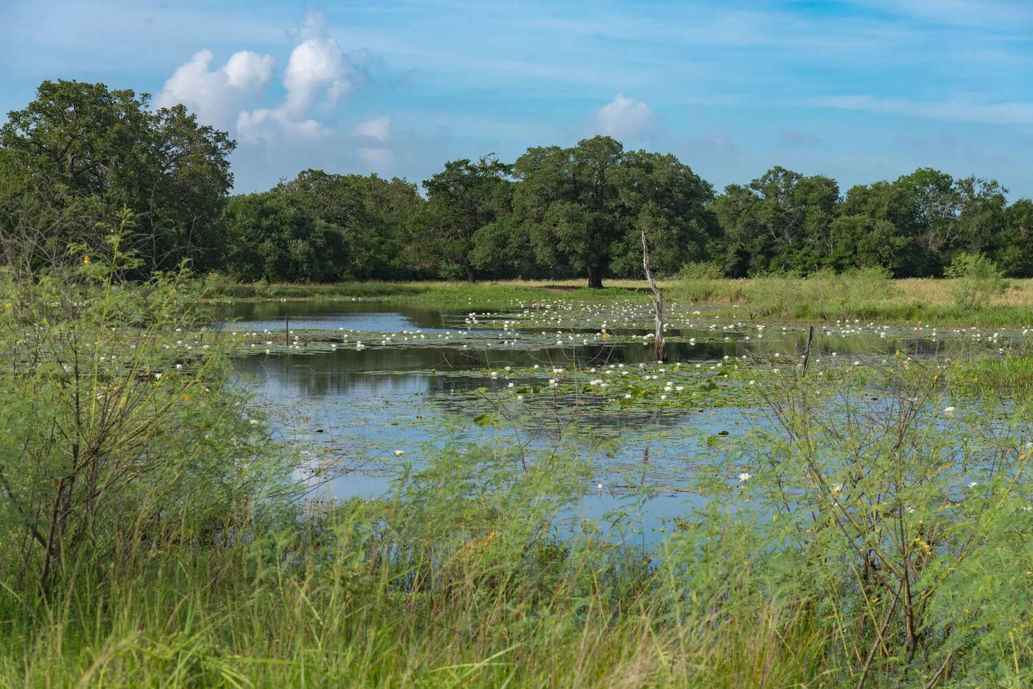 Martinek Farm’s 470 acres are now protected for farmland, wildlife, open space and future generations. (Photo: Stephen Ramirez) Martinek Farm’s 470 acres are now protected for farmland, wildlife, open space and future generations.