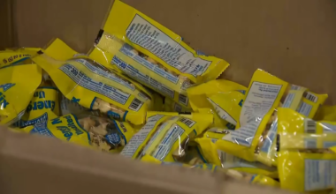 North Texas Giving Day is underway and how to take part – NBC 5 Dallas-Fort Worth