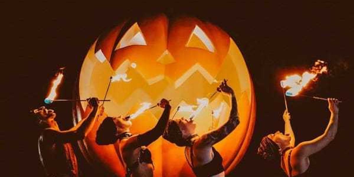 Here are the top 7 things to do in Austin this weekend