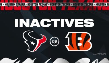 Houston Texans logo