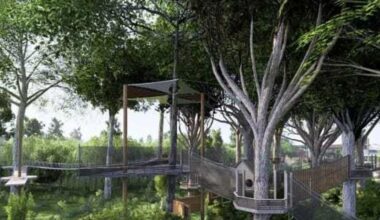 Go Ape Adventure Park to bring ziplining to Cedar Hill