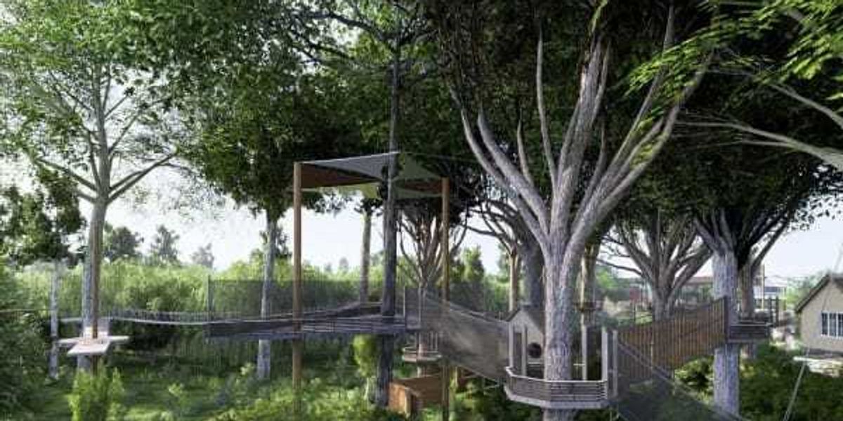 Go Ape Adventure Park to bring ziplining to Cedar Hill