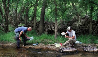 New Report Identifies Contaminated Waterways in the Austin Area • The Austin Chronicle