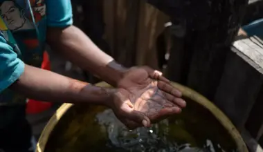 Sand Branch near Dallas has no clean drinking water