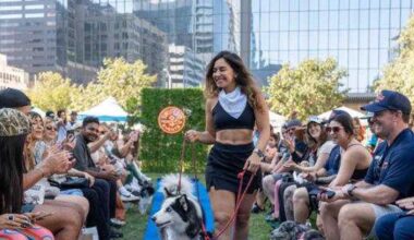 Swift Fit Social presents Wags & Wellness