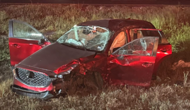 Family of 3 injured after car strikes cow on US 77 north of Odem