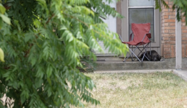 Annaville woman fears loose dog, calls animal control for months