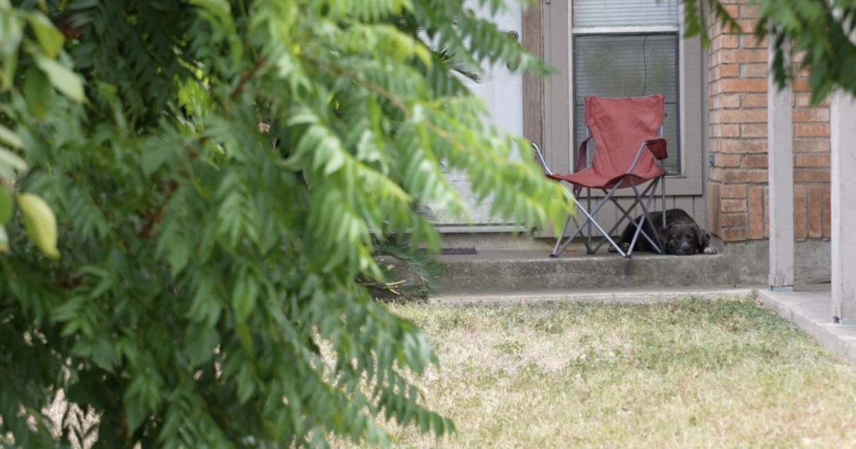 Annaville woman fears loose dog, calls animal control for months