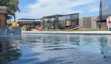 Corpus Christi homeowner rents backyard pool on Swimply app