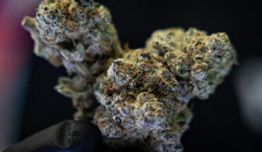 Is possessing smokable hemp flower still legal in Texas?