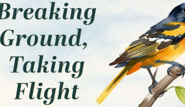 Breaking Ground, Taking Flight | TPR