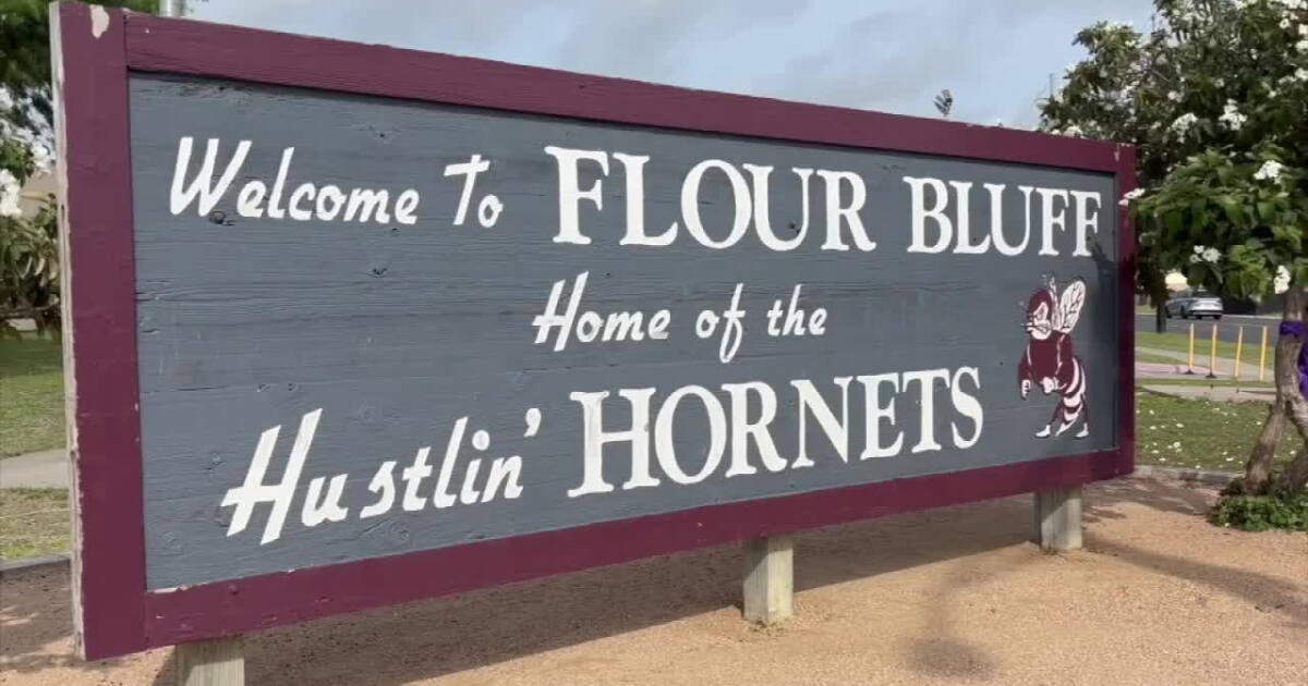 Flour Bluff ISD earns Texas Purple Star Campus honor district-wide
