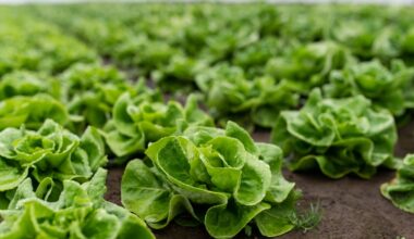 Food recalls are shaking consumer trust. Here's what's next.