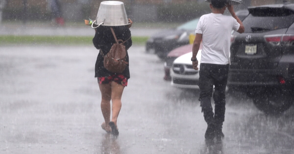 A Science Snippet: What El Niño means for South Texas this fall and winter