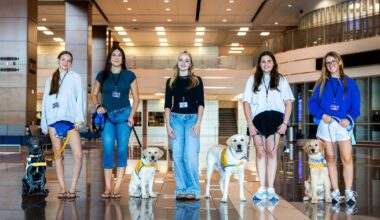 Allen ISD students train future service dogs through Canine Companions partnership