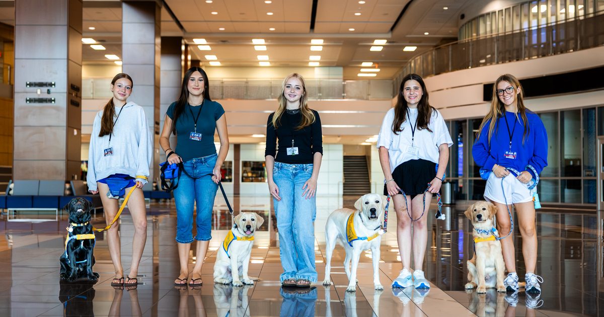 Allen ISD students train future service dogs through Canine Companions partnership