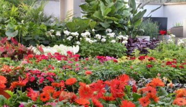 Shoal Creek Nursery offers local plants, gardening advice in Central Austin