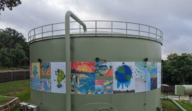 Bailey Meyers