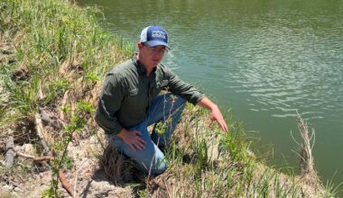 Vegetation along Guadalupe River survives after floods