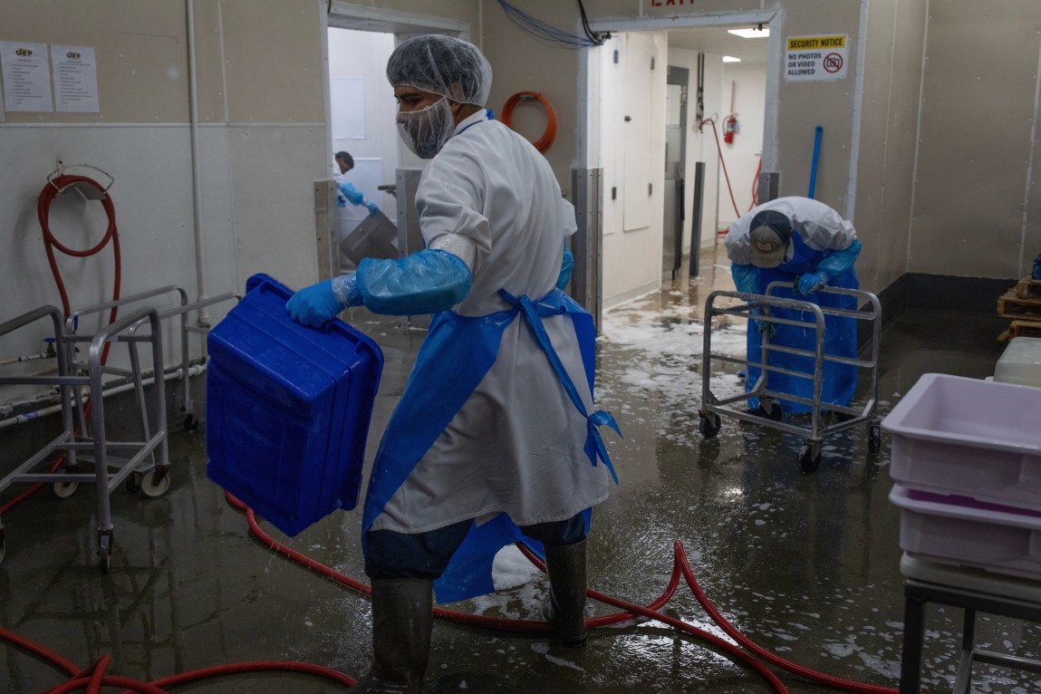 Men work in a factory, covered head to toe in white coats, blue aprons, gloves and other protective and sanitary gear, washing equipment as sudsy water covers the floor.
