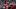 Tampa Bay Buccaneers linebacker YaYa Diaby (0) Tampa Bay Buccaneers linebacker YaYa Diaby (0)