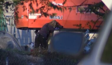 Another Texas electrocution | Vertikal.net