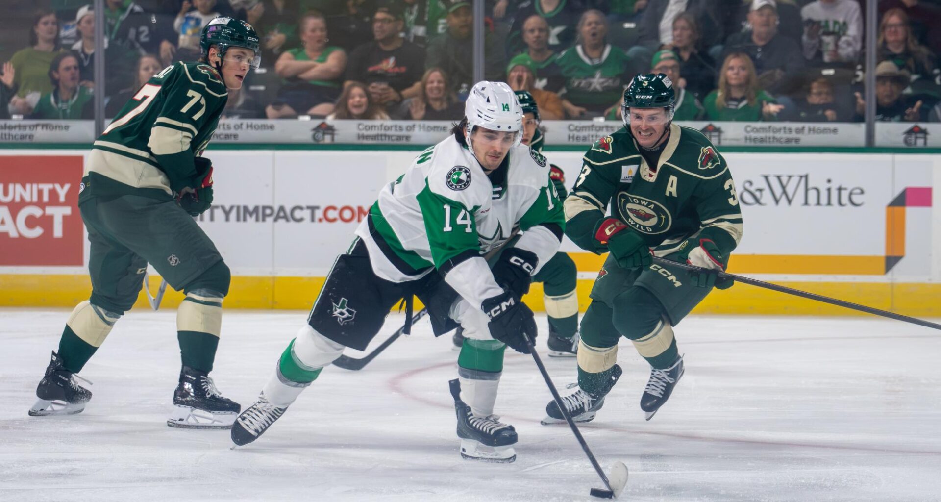 Texas Stars battle back, fall short of Ontario Reign – The Daily Texan