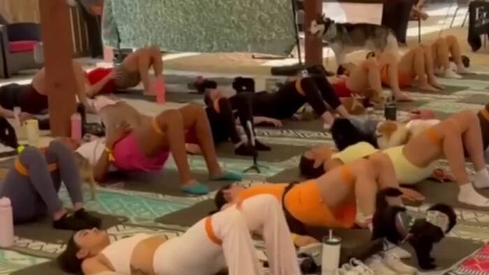 Pilates & Banda: Houston couple brings Latino culture into the conversation about fitness and wellness