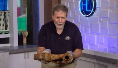 What is a “poop root”? How tree roots can cause plumbing problems