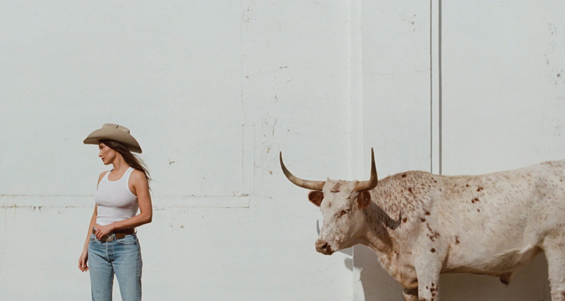Kacey Musgraves on Dolly Parton and Willie Nelson ahead of D-FW shows