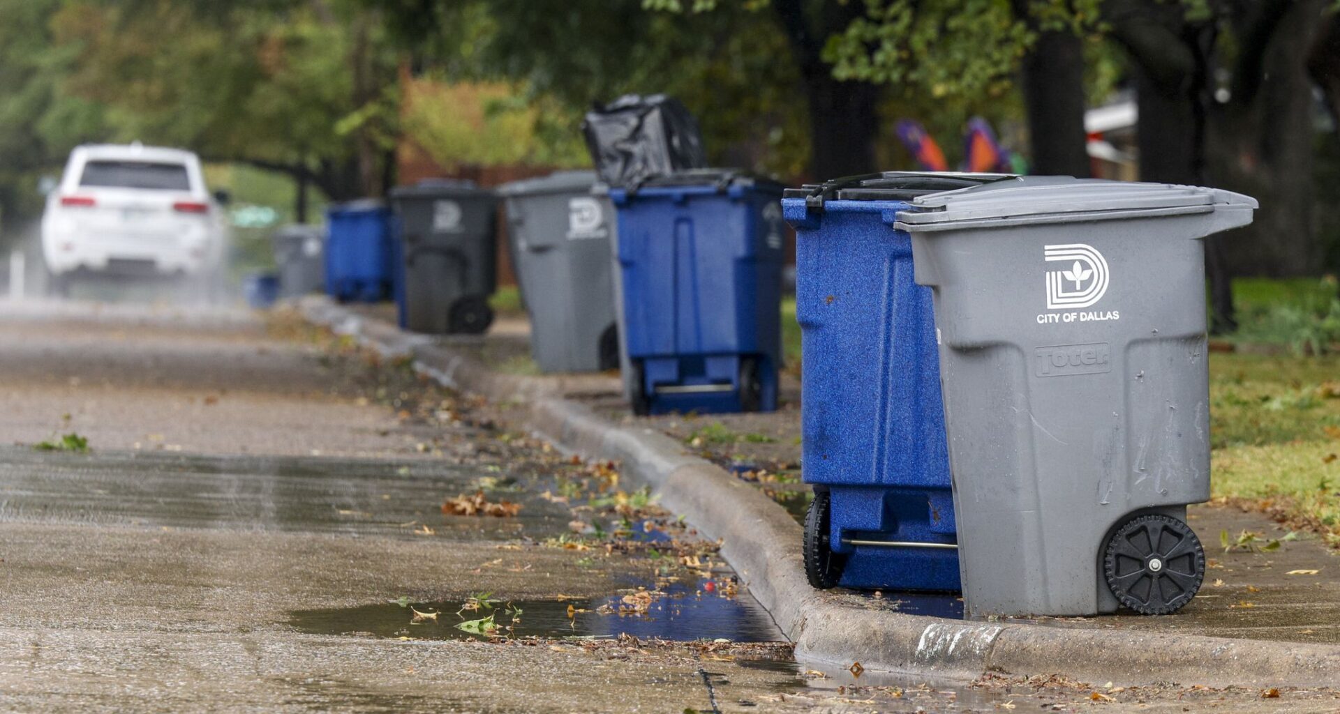 Dallas 311 requests reveal top concerns by district