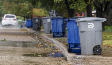 Dallas 311 requests reveal top concerns by district