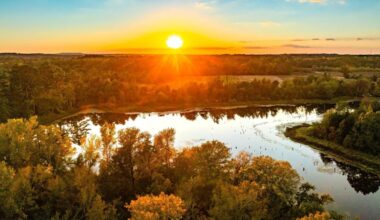 A sprawling piece of property along Lake Palestine is set to become a new Texas state park. 