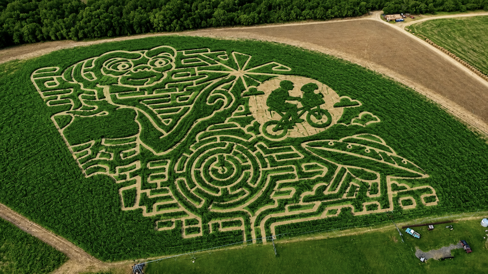 San Antonio-area pumpkin patches and corn mazes to check out for fall 2026