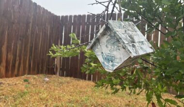 Thunderstorms linger in San Antonio as cold front moves into Texas